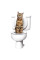 Набор для приучения кошки к туалету Citi Kitty Cat Toilet Training Kit, система приучения кошек к унитазу