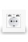 Розетка пластиковая с заземлением и двумя USB портами Coswall белая