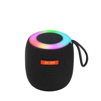 Портативна Bluetooth колонка SH309 BT 100 Вт глибокі баси чистий звук