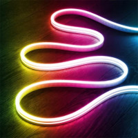 Розумна гнучка LED RGB, неонова стрічка-шланг 10 м, з живленням від USB